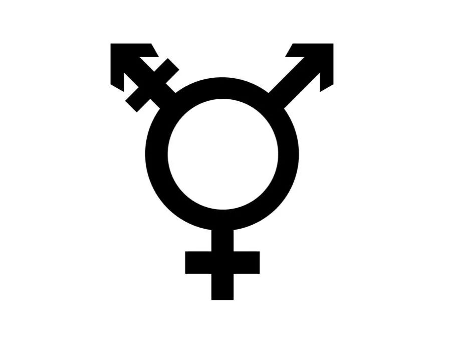 跨性 / 跨性别，一种身体性的成为：重新思考多样而非二分的生物性（上）  哲学 第7张