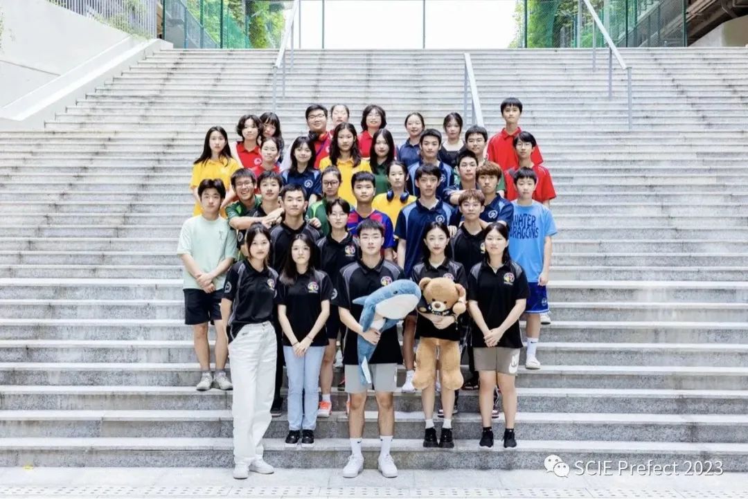 深国交SLB简介 Introduction to the Student Leadership Body 来竞选吧  深国交 深圳国际交流学院 学在国交 Winnie 第23张